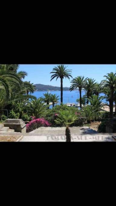 Апартаменти Le Dyonisos Et Piscine Ла-Сейн-сюр-Мер Екстер'єр фото