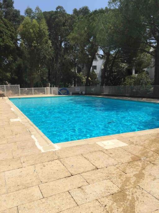 Апартаменти Le Dyonisos Et Piscine Ла-Сейн-сюр-Мер Екстер'єр фото